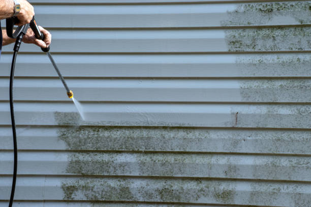 Best Construction Debris Removal  in La Habra Heights, CA
